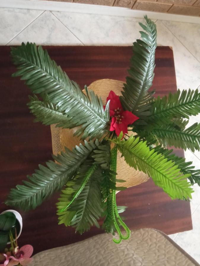 B&B Cleopatra Scalea Dış mekan fotoğraf